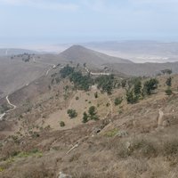The Coastal Lomas System of Peru