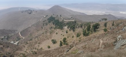 The Coastal Lomas System of Peru