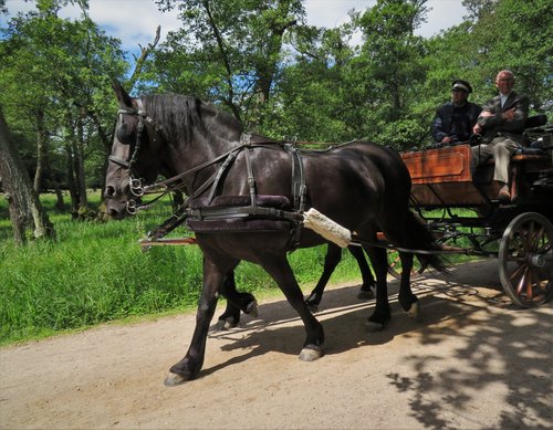 The Par Force Hunting Landscape (KJM)