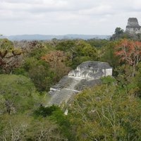 Mundo Perdido, Tikal