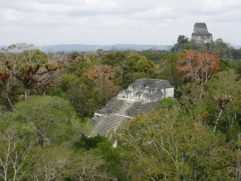 Mundo Perdido, Tikal