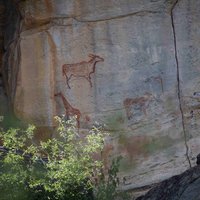 Tsodilo rock art