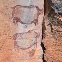 Tsodilo rock art
