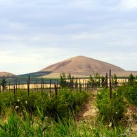 Turkiye Sardis and Bintepe Alyattes Tumulus