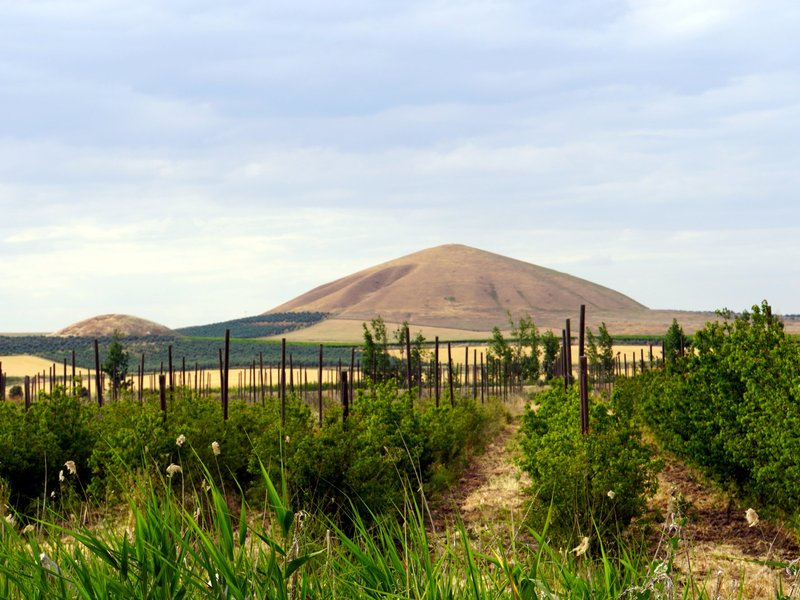 Turkiye Sardis and Bintepe Alyattes Tumulus