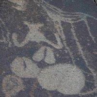 Twyfelfontein rock art