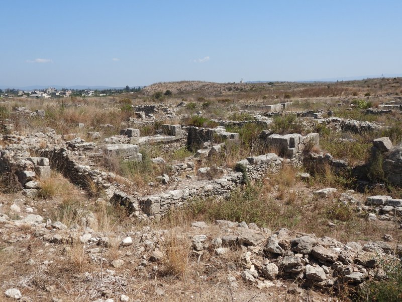 Ugarit overview