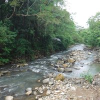 River near the hot springs, Ujung Kulon National Park