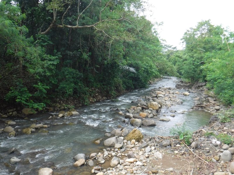 River near the hot springs, Ujung Kulon National Park
