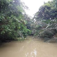 Ujung Kulon National Park