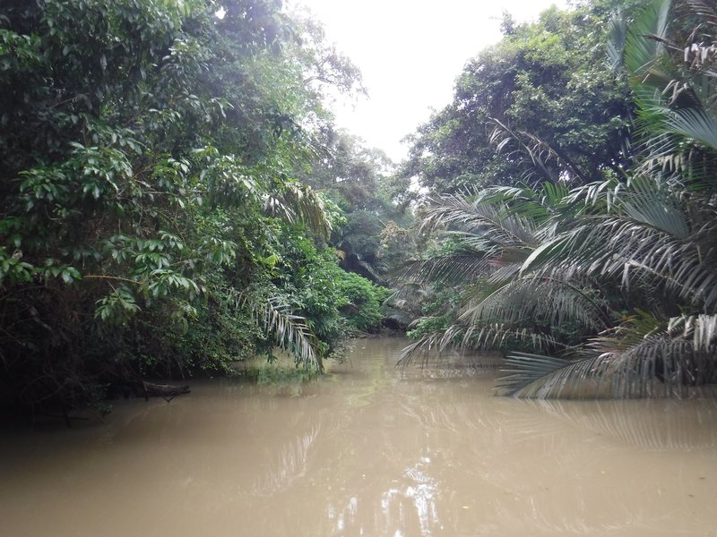 Ujung Kulon National Park