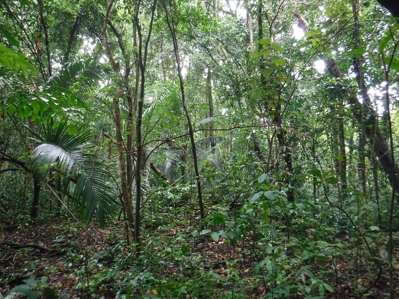 Ujung Kulon National Park