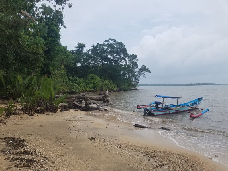 Ujung Kulon National Park