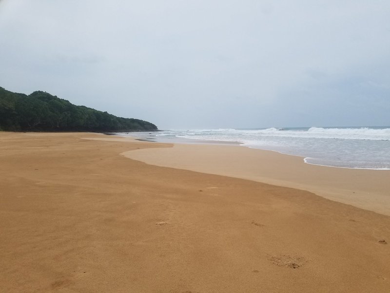 Ujung Kulon National Park