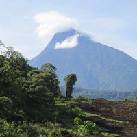 Virunga mountains