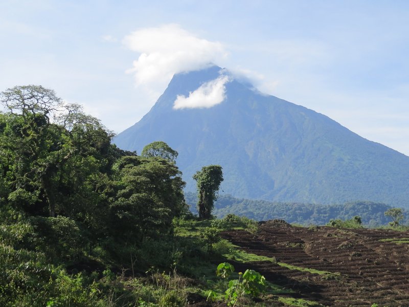 Virunga mountains