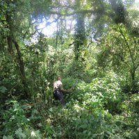 Virunga ranger