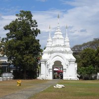 Wat Suan Dok, Chiang Mai