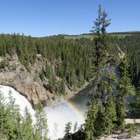 Yellowstone