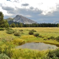 Yosemite