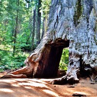 Yosemite