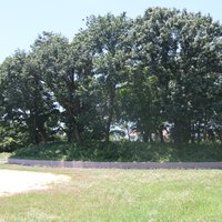 Mozu-Furuichi Kofun: Zenizuka Kofun