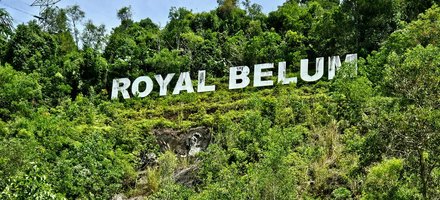 Royal Belum State Park