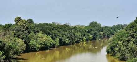 Comoé National Park