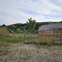 Pile Dwellings: Ehrenstein