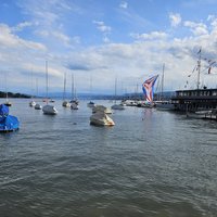 Pile Dwellings: Enge Alpenquai
