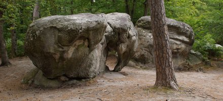 Domaine de Fontainebleau