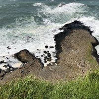 Giant's causeway from upper path