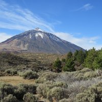 Teide3.JPG