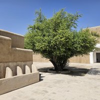 Al-Ahsa Oasis: Qasr Ibrahim