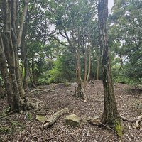 Iwami Ginzan: Iwami-jo site
