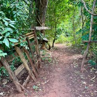 Mijikenda forest, Kambe kaya