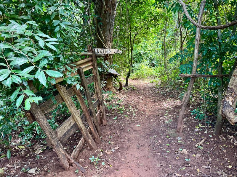 Mijikenda Sacred Forests turned out to be one of the trickier ones to plan a visit to on your own. There are few helpful reviews or other visitor information online — and most available information focuses on Kaya Kinondo, which, as Els pointed out, isn’t