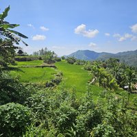 Rice Terraces of the Philippine Cordilleras: Mayoyayo