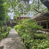 Kii Mountains: Yoshino Mikamuri Shrine