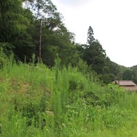 Iwami Ginzan: Miyanomae
