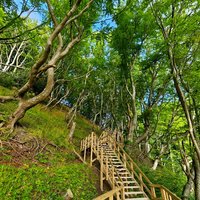 Mons Klint by Roman Bruehwiler