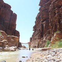 Mujib Nature Reserve