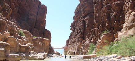 Mujib Nature Reserve