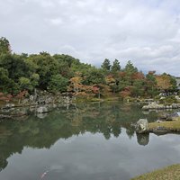 Ancient Kyoto by Tony H.