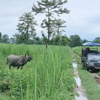 Rhino w/ Jeep
