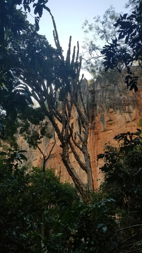 Peruaçu Biomes