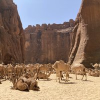 Ennedi Massif