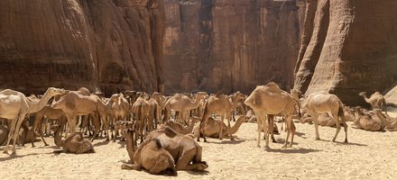 Ennedi Massif