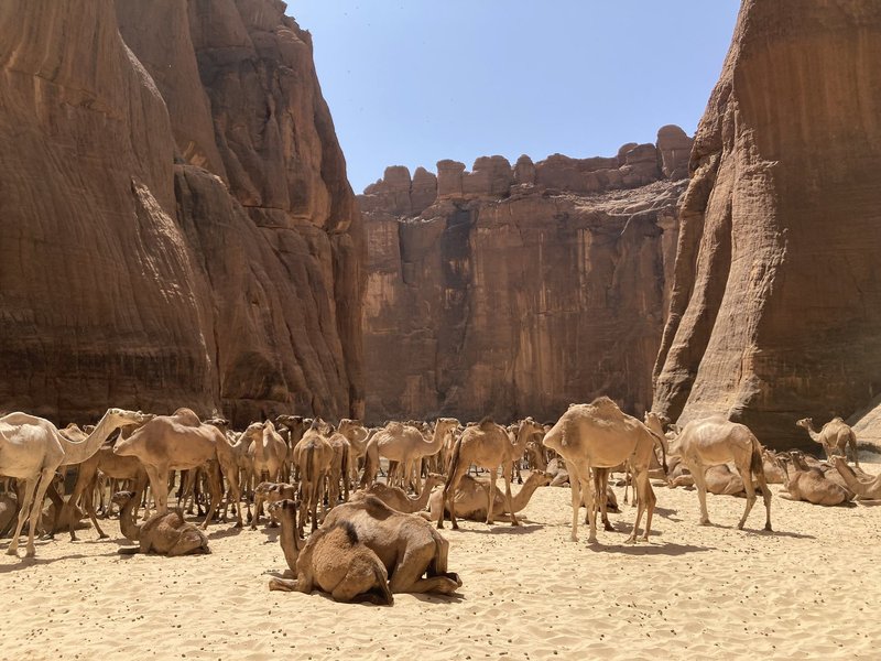 Ennedi Archei