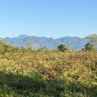 Manas Wildlife Sanctuary